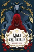 polish book : Mali złodz... - Margaret Owen