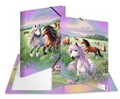 Książka : Teczka A3 ...