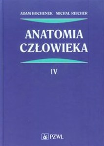 Obrazek Anatomia człowieka Tom 4