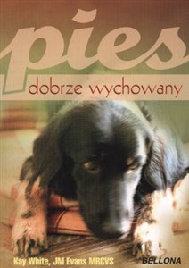 Obrazek Pies dobrze wychowany