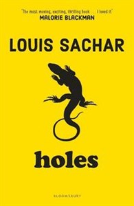 Picture of Holes