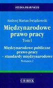 polish book : Międzynaro... - Andrzej Marian Świątkowski