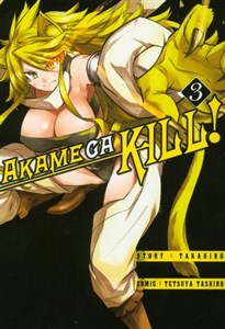 Picture of Akame ga Kill. Tom 3