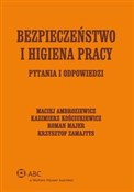Bezpieczeń... - Kazimierz Kościukiewicz, Krzysztof Zamajtys, Maciej Ambroziewicz, Roman Majer -  foreign books in polish 