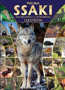 Picture of Polska ssaki encyklopedia ilustrowana leksykon