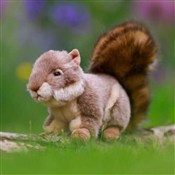 Pluszowa w... -  books in polish 