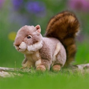 Obrazek Pluszowa wiewiórka szara