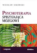 Psychotera... - Wiesław Sikorski -  Polish Bookstore 
