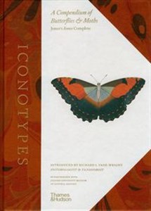 Picture of Iconotypes A compendium of butterflies and moths