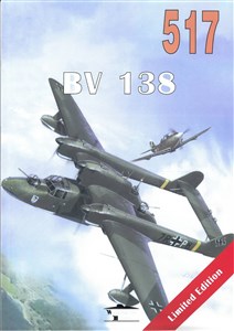 Picture of BV 138 nr 517