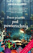 Proces pis... - Agnieszka Mlicka -  foreign books in polish 