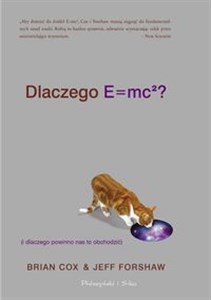 Obrazek Dlaczego E=mc2 (i dlaczego powinno nas to obchodzić)