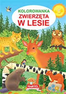 Picture of Kolorowanka Zwierzęta w lesie