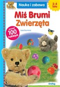 Miś Brumi ... - Lieve Boumans -  foreign books in polish 