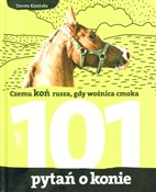 101 pytań ... - Dorota Kozińska -  books in polish 
