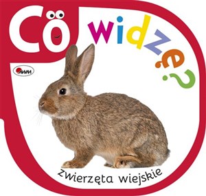 Picture of Co widzę Zwierzęta wiejskie