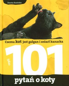 Picture of 101 pytań o koty Czemu kot jest gałgan i zeżarł kanarka