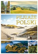 Polska książka : Pejzaże Po... - Opracowanie Zbiorowe
