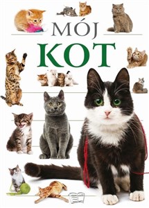 Picture of Mój Kot