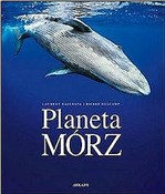 Planeta mó... - Laurent Ballesta, Pierre Descamp -  books in polish 