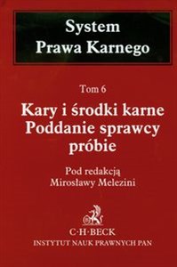 Picture of Kary i środki karne Poddanie sprawcy próbie Tom 6