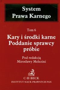 Obrazek Kary i środki karne Poddanie sprawcy próbie Tom 6