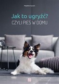 Jak to ugr... - Magdalena Łęczycka -  books from Poland