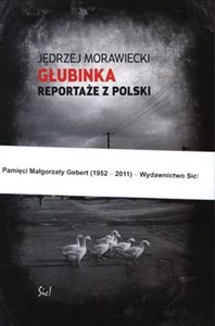 Obrazek Głubinka Reportaże z Polski
