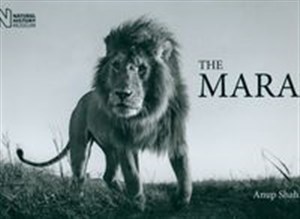 Picture of The Mara