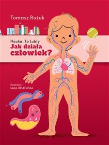 Obrazek Jak działa człowiek?