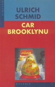 Picture of Car Brooklynu