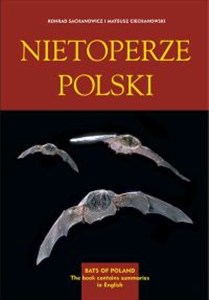 Obrazek Nietoperze Polski, Bats of Poland