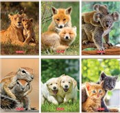 Zobacz : Zeszyt A5/...