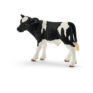 Obrazek Cielę rasy holstein SLH13798