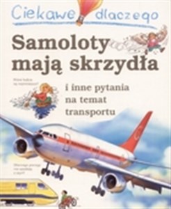 Obrazek Ciekawe dlaczego Samoloty mają skrzydła