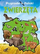 Przyroda P... - Opracowanie Zbiorowe -  books in polish 