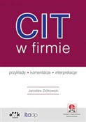 CIT w firm... - Jarosław Ziółkowski -  foreign books in polish 
