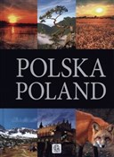 Polska książka : Polska Pol... - Opracowanie Zbiorowe