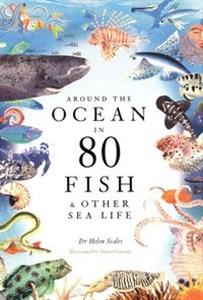 Picture of Around the Ocean in 80 Fish and other Sea Life