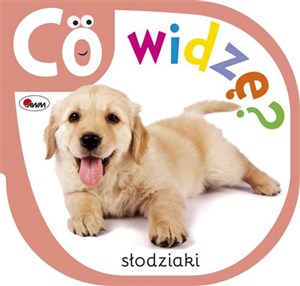 Obrazek Co widzę słodziaki