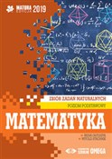Książka : Matematyka... - Irena Ołtuszyk, Witold Stachnik