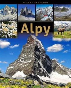 Picture of Alpy