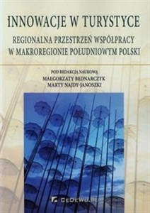 Obrazek Innowacje w turystyce Regionalna przestrzeń współpracy w makroregionie południowym Polski