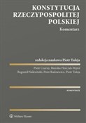 polish book : Konstytucj... - Piotr Radziewicz, Piotr Czarny, Monika Florczak-Wątor, Bogumił Naleziński, Piotr Tuleja