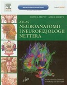 Atlas neur... - David L. Felten, Anil N. Shetty -  books from Poland
