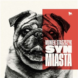 Picture of Syn miasta