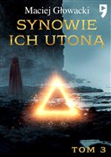 polish book : Synowie ic... - Maciej Głowacki