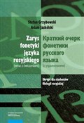 Zarys fone... - Stefan Grzybowski, Adam Jaskólski -  foreign books in polish 