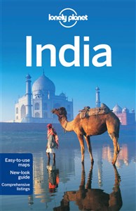 Obrazek Lonely Planet India