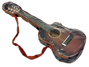 Picture of Gitara w pokrowcu